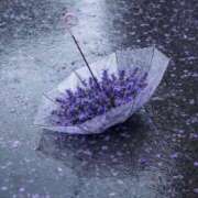 ヒメ日記 2026/04/01 10:12 投稿 さえ☆ 豊橋豊川ちゃんこ