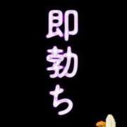 ヒメ日記 2026/05/24 09:48 投稿 さえ☆ 豊橋豊川ちゃんこ