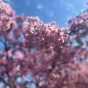 あいら お休みです。 激安ドットコム