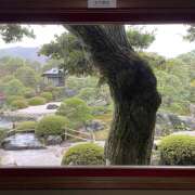 ヒメ日記 2024/12/19 19:10 投稿 なな ラブ＆ナース