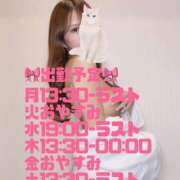 ヒメ日記 2025/01/31 21:41 投稿 なな ラブ＆ナース