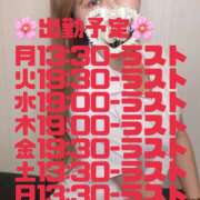 ヒメ日記 2025/02/24 01:29 投稿 なな ラブ＆ナース