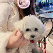 ヒメ日記 2025/04/04 14:48 投稿 なな ラブ＆ナース