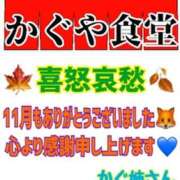 ヒメ日記 2023/11/30 23:42 投稿 かぐや 石巻 奥様食堂