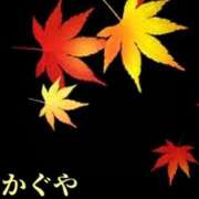 ヒメ日記 2024/09/21 16:41 投稿 かぐや 石巻 奥様食堂