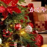 ヒメ日記 2024/12/15 22:31 投稿 かぐや 石巻 奥様食堂