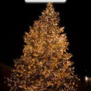 ヒメ日記 2024/12/21 17:51 投稿 かぐや 石巻 奥様食堂