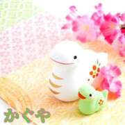 ヒメ日記 2025/01/25 22:11 投稿 かぐや 石巻 奥様食堂