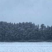 ヒメ日記 2025/03/05 09:02 投稿 かぐや 石巻 奥様食堂