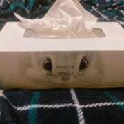 ヒメ日記 2025/03/11 22:01 投稿 かぐや 石巻 奥様食堂