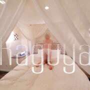 ヒメ日記 2025/03/15 12:11 投稿 かぐや 石巻 奥様食堂