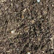 ヒメ日記 2025/07/23 09:31 投稿 かぐや 石巻 奥様食堂