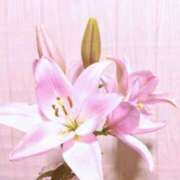 ヒメ日記 2025/08/07 22:21 投稿 かぐや 石巻 奥様食堂