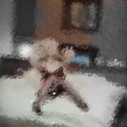 ヒメ日記 2025/09/11 17:02 投稿 かぐや 石巻 奥様食堂