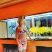 ヒメ日記 2025/09/12 22:57 投稿 かぐや 石巻 奥様食堂