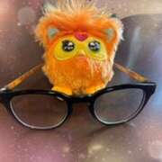 ヒメ日記 2025/11/12 09:11 投稿 かぐや 石巻 奥様食堂