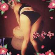 ヒメ日記 2025/12/02 11:51 投稿 かぐや 石巻 奥様食堂