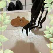 ヒメ日記 2025/12/06 23:01 投稿 かぐや 石巻 奥様食堂