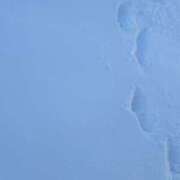 ヒメ日記 2026/01/12 11:31 投稿 かぐや 石巻 奥様食堂