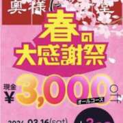 ヒメ日記 2024/03/16 11:21 投稿 さつき 石巻 奥様食堂