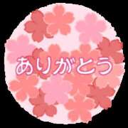 ヒメ日記 2024/03/18 05:01 投稿 つばさ 石巻 奥様食堂