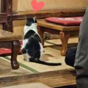 ヒメ日記 2025/02/02 10:51 投稿 つばさ 石巻 奥様食堂