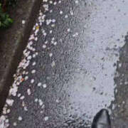 ヒメ日記 2025/04/14 17:01 投稿 つばさ 石巻 奥様食堂