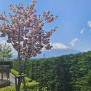 ヒメ日記 2025/05/20 16:31 投稿 つばさ 石巻 奥様食堂