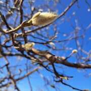 ヒメ日記 2024/03/04 07:51 投稿 奈穂 石巻 奥様食堂