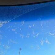 ヒメ日記 2024/12/19 08:31 投稿 奈穂 石巻 奥様食堂