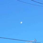 ヒメ日記 2024/12/20 08:21 投稿 奈穂 石巻 奥様食堂