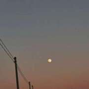 ヒメ日記 2025/01/14 08:31 投稿 奈穂 石巻 奥様食堂