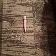 ヒメ日記 2025/01/24 08:31 投稿 奈穂 石巻 奥様食堂