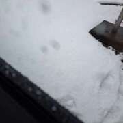 ヒメ日記 2025/02/05 20:18 投稿 奈穂 石巻 奥様食堂