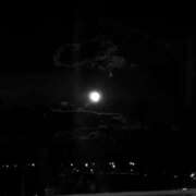 ヒメ日記 2025/02/13 23:21 投稿 奈穂 石巻 奥様食堂