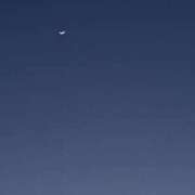 ヒメ日記 2025/03/03 21:11 投稿 奈穂 石巻 奥様食堂