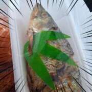 ヒメ日記 2025/03/07 09:21 投稿 奈穂 石巻 奥様食堂