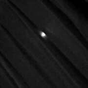 ヒメ日記 2025/03/07 23:41 投稿 奈穂 石巻 奥様食堂