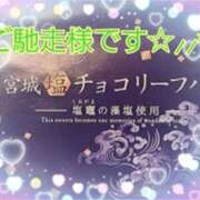 ヒメ日記 2025/03/11 23:01 投稿 奈穂 石巻 奥様食堂