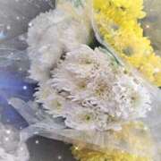 ヒメ日記 2025/03/17 08:31 投稿 奈穂 石巻 奥様食堂