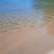 ヒメ日記 2025/03/24 00:05 投稿 奈穂 石巻 奥様食堂