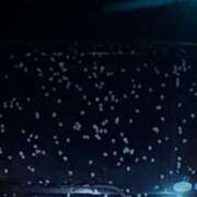 ヒメ日記 2025/04/21 08:31 投稿 奈穂 石巻 奥様食堂