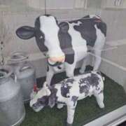 ヒメ日記 2025/05/11 22:41 投稿 奈穂 石巻 奥様食堂