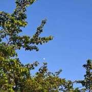 ヒメ日記 2025/05/13 08:01 投稿 奈穂 石巻 奥様食堂