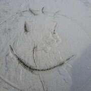 ヒメ日記 2025/05/13 08:51 投稿 奈穂 石巻 奥様食堂