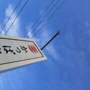 ヒメ日記 2025/05/15 08:41 投稿 奈穂 石巻 奥様食堂