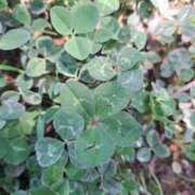 ヒメ日記 2025/05/19 09:26 投稿 奈穂 石巻 奥様食堂