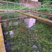 ヒメ日記 2025/05/31 09:51 投稿 奈穂 石巻 奥様食堂