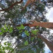 ヒメ日記 2025/06/06 01:01 投稿 奈穂 石巻 奥様食堂