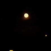 ヒメ日記 2025/06/12 22:11 投稿 奈穂 石巻 奥様食堂